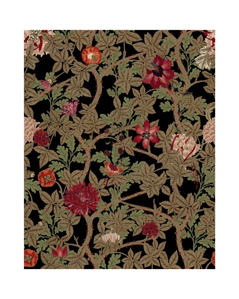 The flowering dark black WP20731 The flowering dark black WP20731