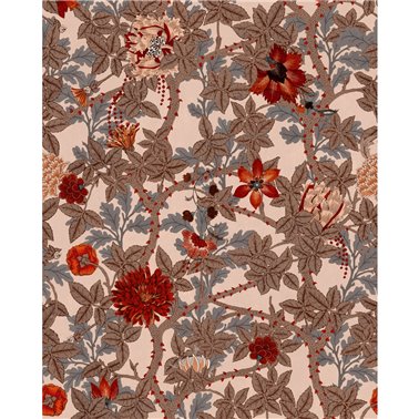 The flowering pink WP20730