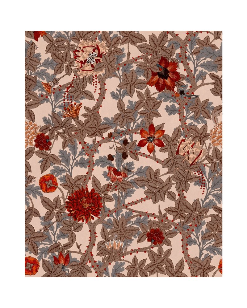 The flowering pink WP20730 The flowering pink WP20730