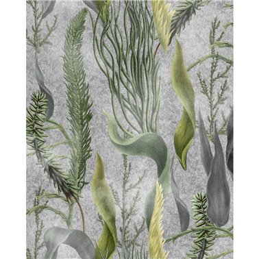 Aquatic plants Grey WP20718