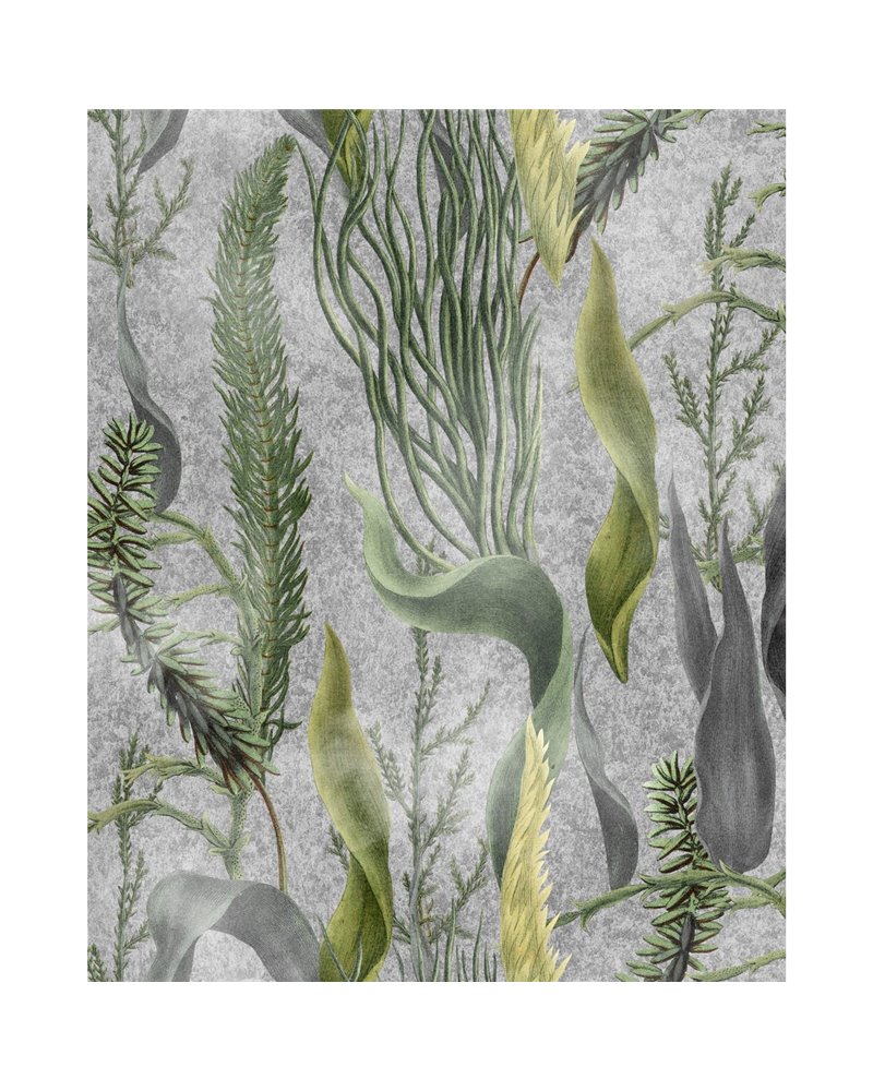 Aquatic plants Grey WP20718 Aquatic plants Grey WP20718