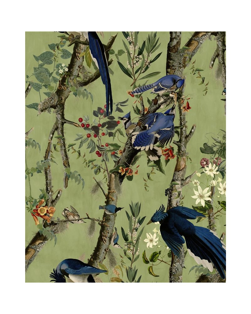 Birds of danube orange WP20715 Birds of danube orange WP20715