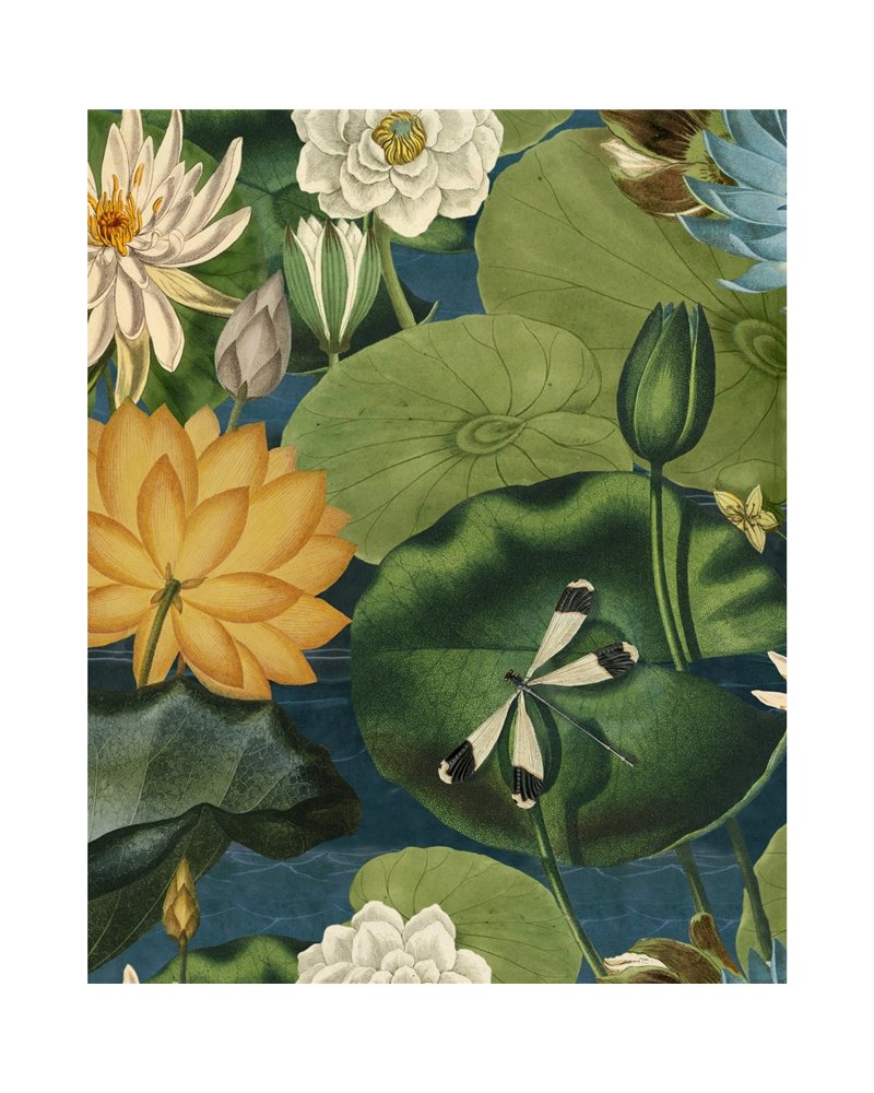 Lotus blossom Green WP20723 Lotus blossom Green WP20723