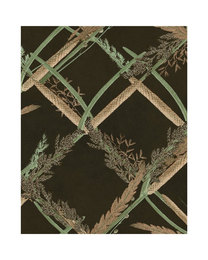 Ornamental reed Anthracite WP30163 Ornamental reed Anthracite WP30163