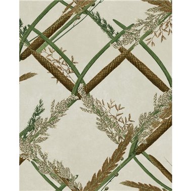 Ornamental reed Taupe WP30161