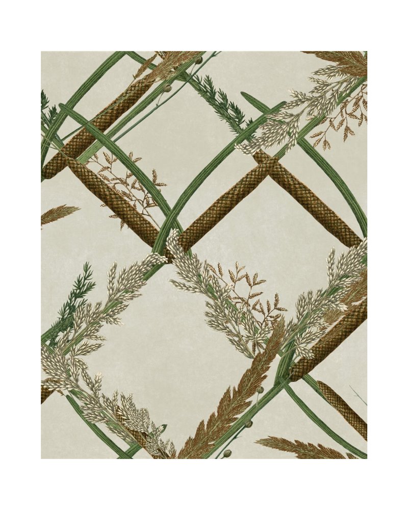 Ornamental reed Taupe WP30161 Ornamental reed Taupe WP30161