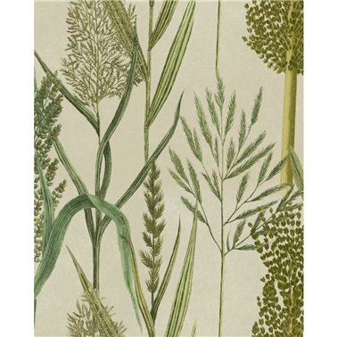 Riverside flora Taupe WP30164