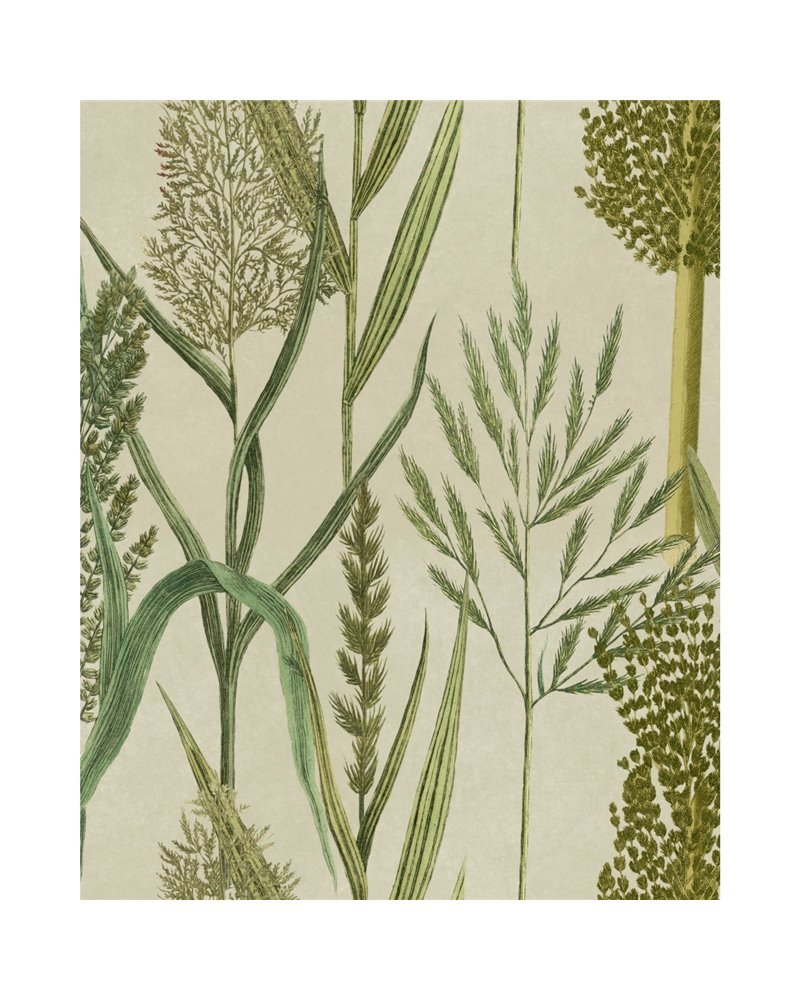Riverside flora Taupe WP30164 Riverside flora Taupe WP30164