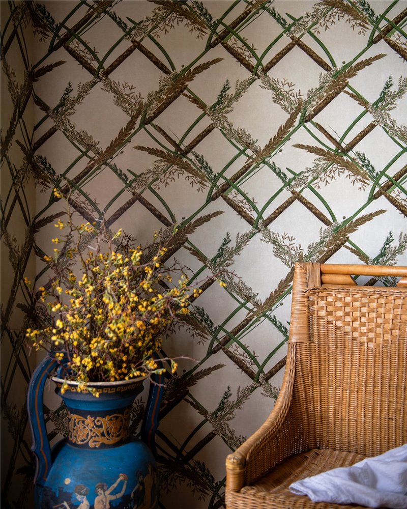Ornamental reed Green WP30162