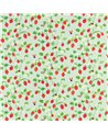 Strawberry Patch V359701