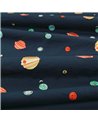 Solar System V358301
