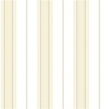 Smart Stripes G67578
