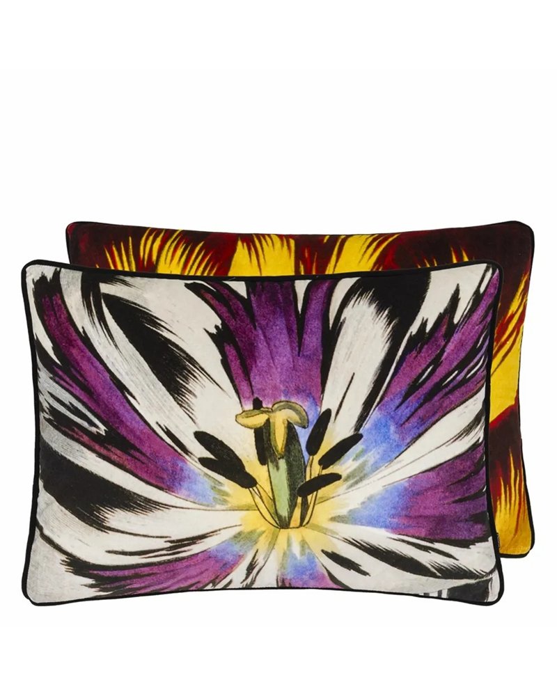ECLOSION AGATE CCCL0659 ECLOSION AGATE CCCL0659