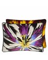 ECLOSION AGATE CCCL0659