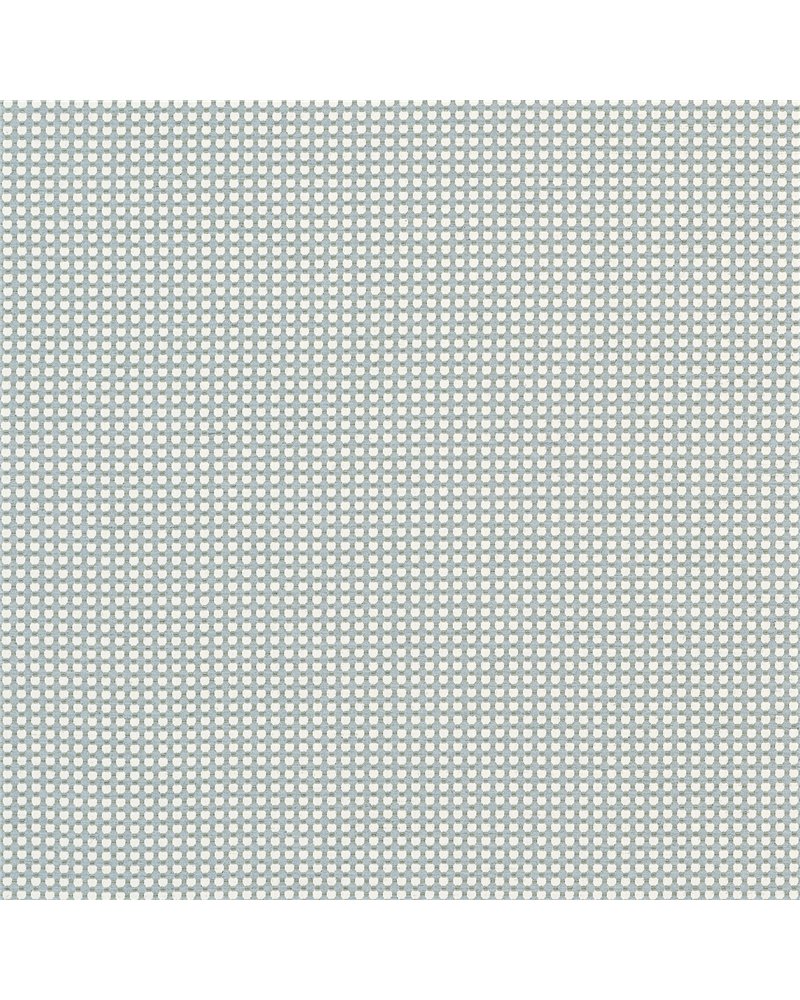Darcy Powder W81917