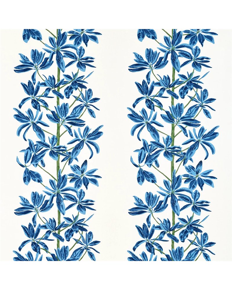 Mangrove Tree Blue and White F945032.webp Mangrove Tree Blue and White F945032.webp