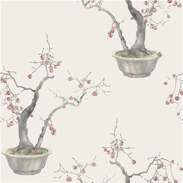 Kaki Persimmon Silver 126-2004