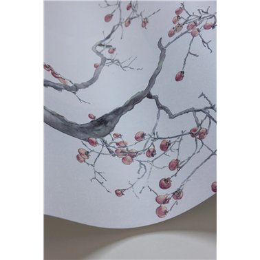 Kaki Persimmon Silver 126-2004
