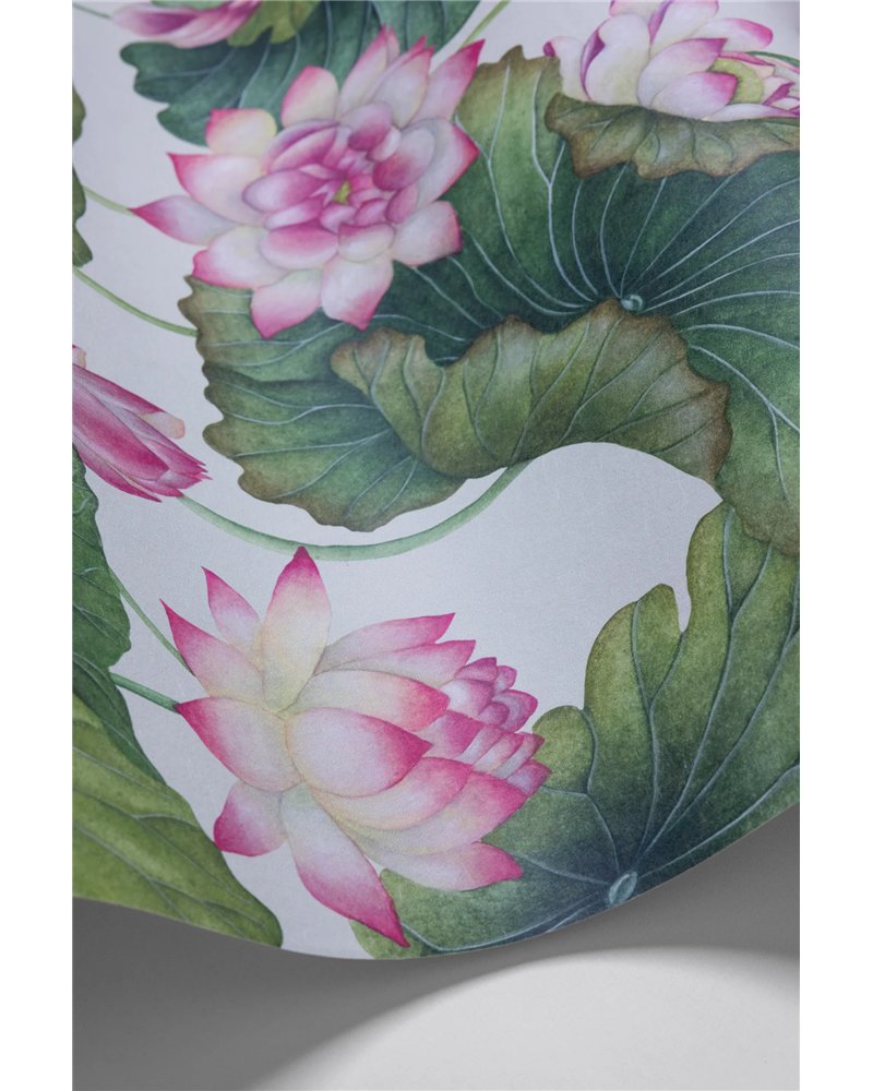 Lity Lotus Pink & White 126-9031