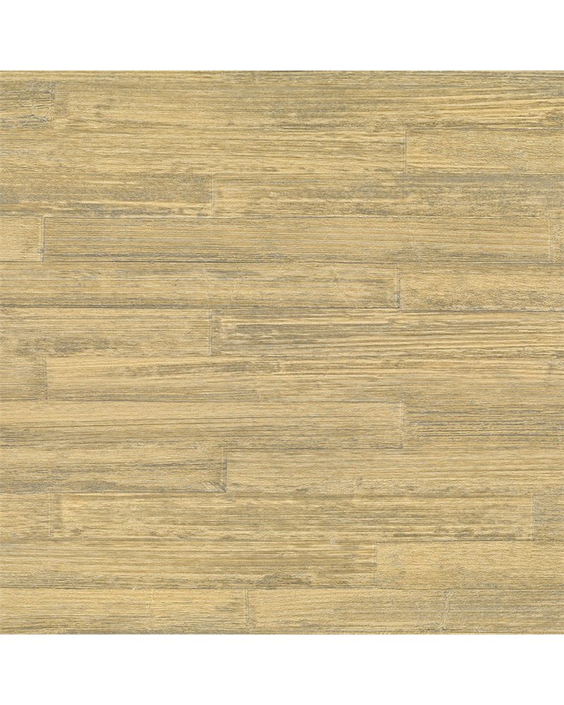 Takenoha 50640 Takenoha 50640