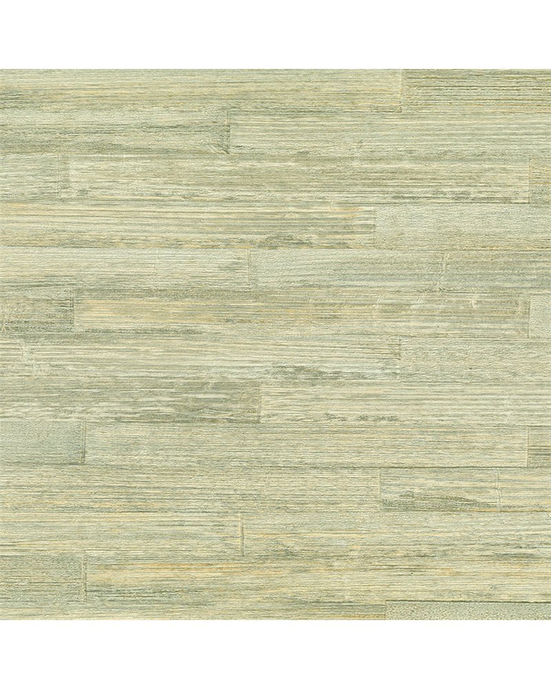 Takenoha 50641 Takenoha 50641
