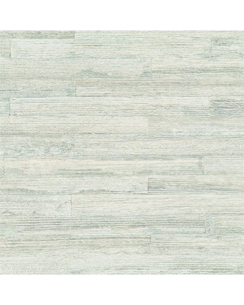 Takenoha 50642 Takenoha 50642