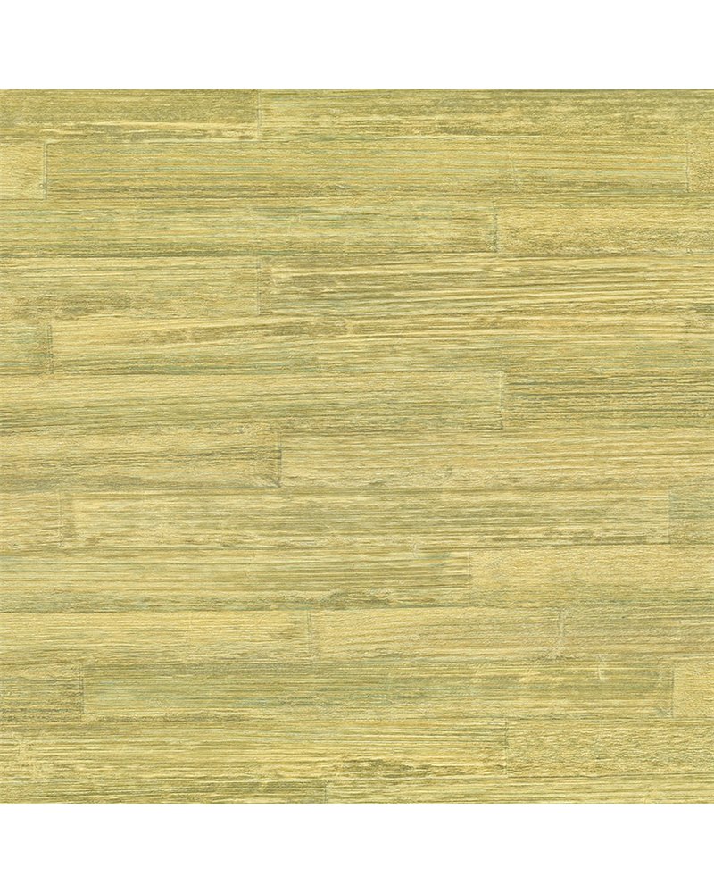 Takenoha 50647 Takenoha 50647