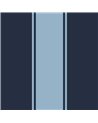 Azure Deep Ocean SR21212