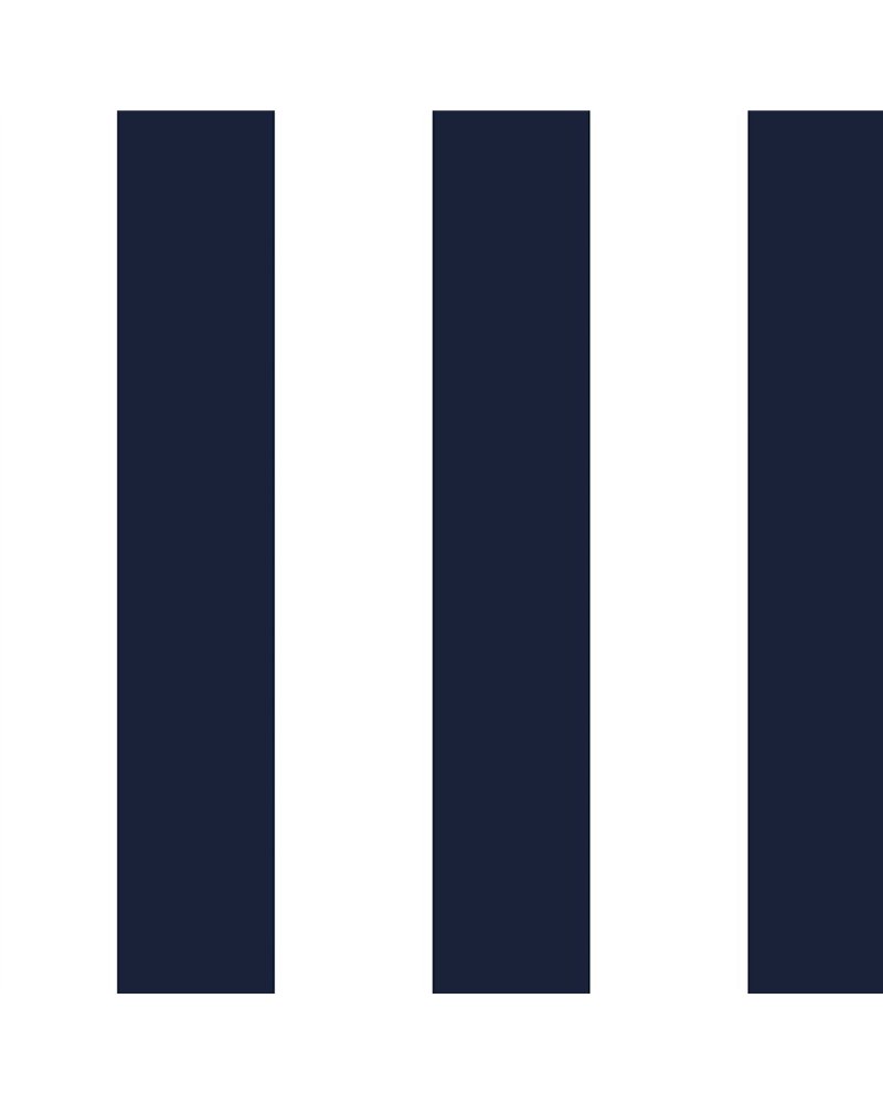 Atlantis Rich Navy SR21702 Atlantis Rich Navy SR21702