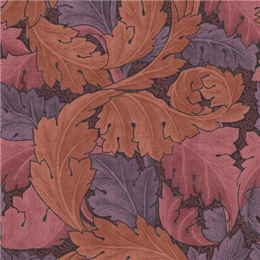 Acanthus Plum 124223