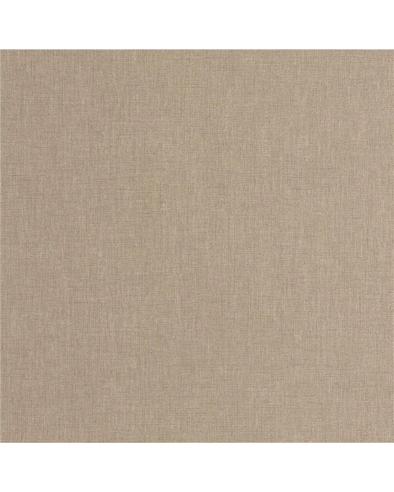 Caractere Taupe 201171505