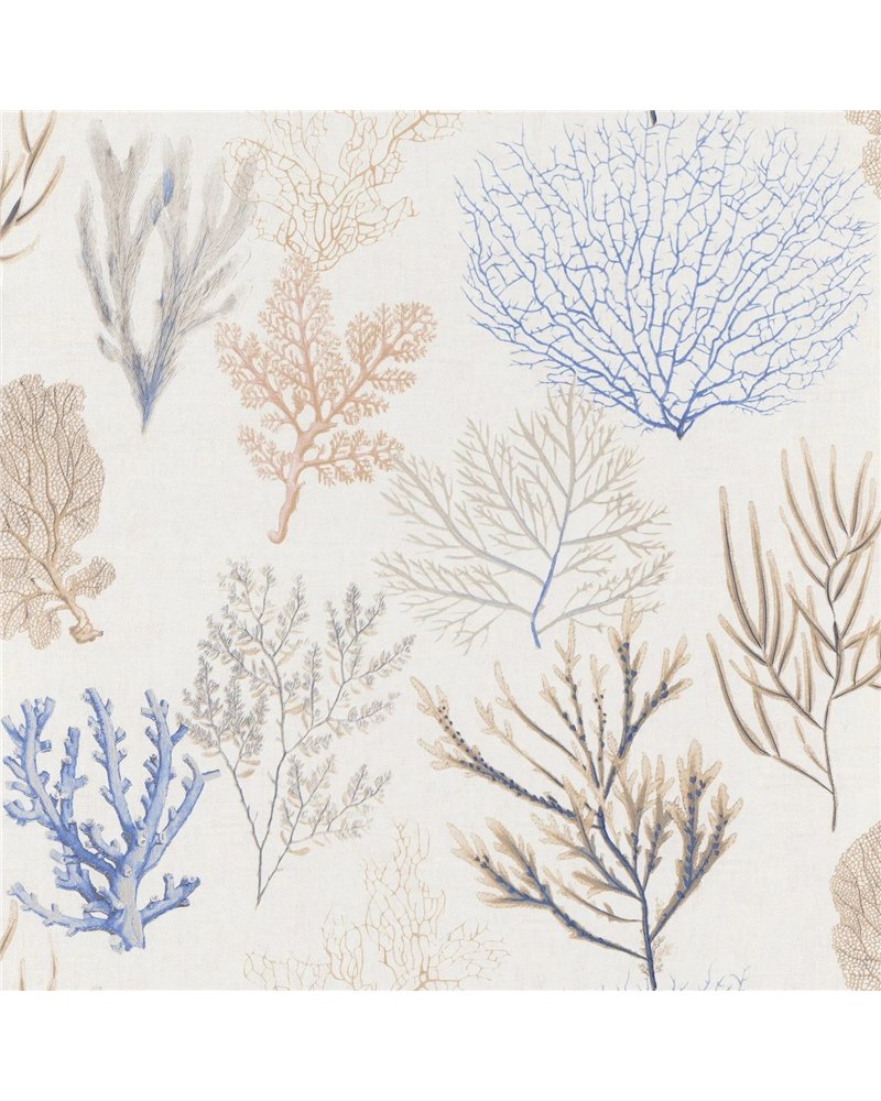 Corail Bleu 83976202 Corail Bleu 83976202