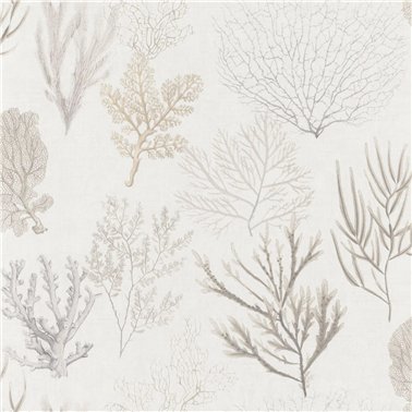 Corail Beige 83971120