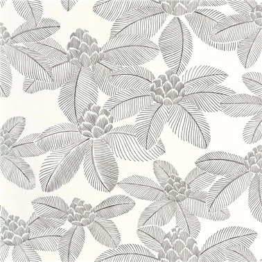 Lotus Noir Blanc 106650956