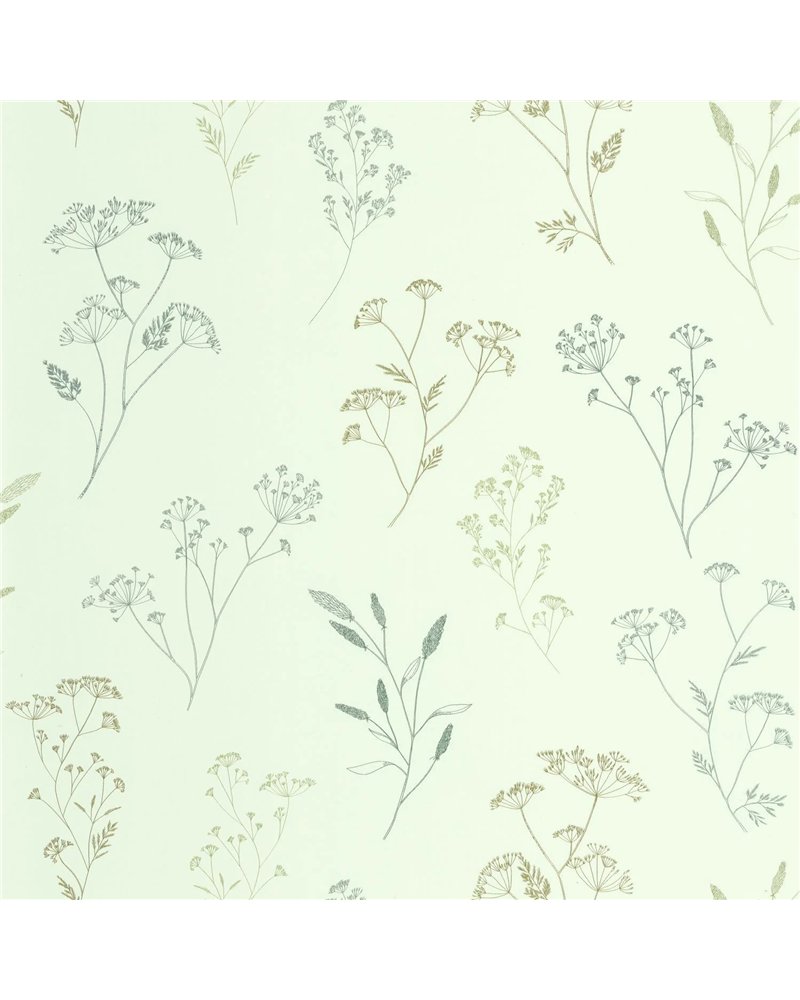 Little Graminea Vert D'Eau 106687158 Little Graminea Vert D'Eau 106687158