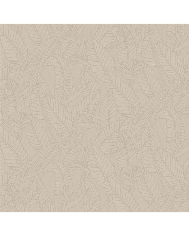 Strelitzia  Zinc  60750