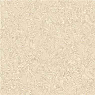 Strelitzia Hemp 60747