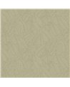 Strelitzia Olive 60740