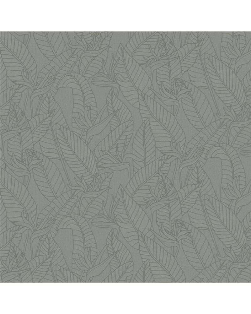 Strelitzia Teal 60751