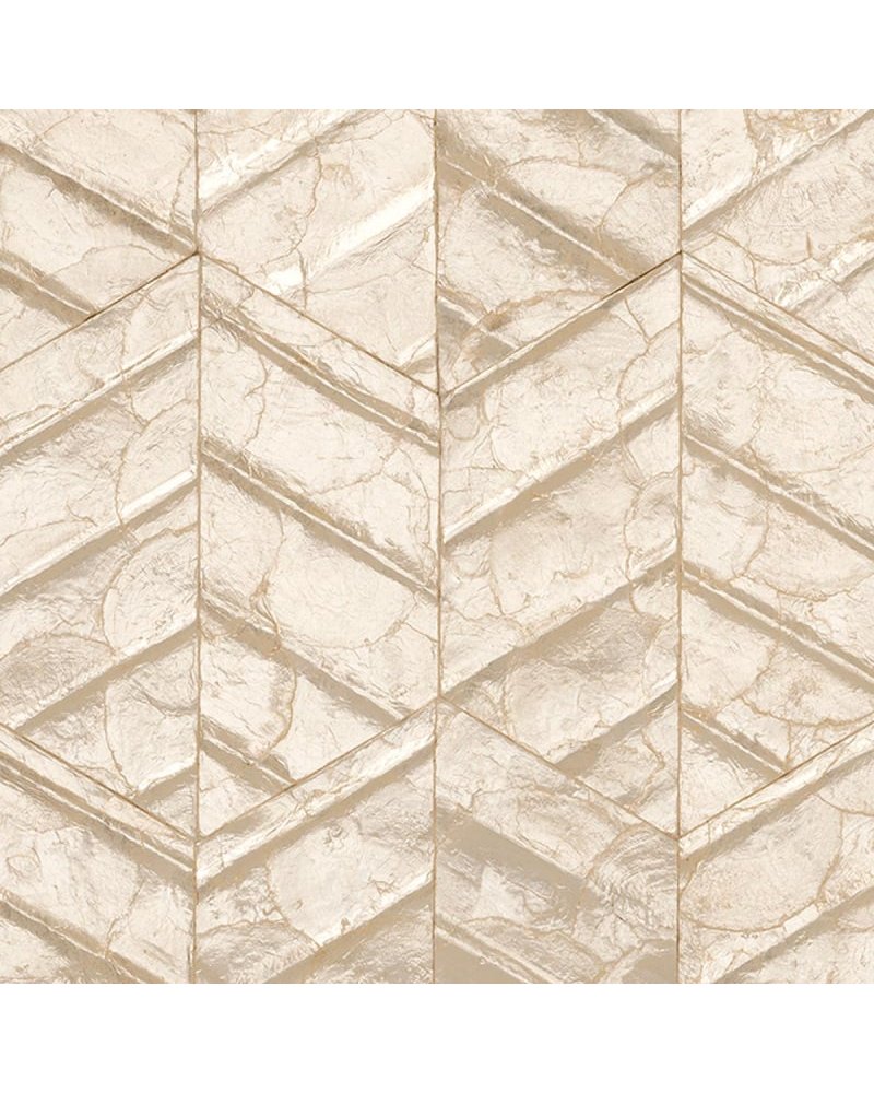 Lucea Coquille 70311 Lucea Coquille 70311