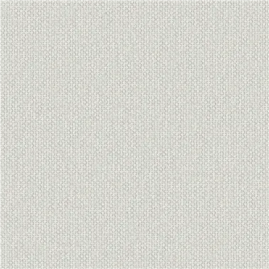 CANVASA 2618.85