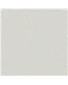 CANVASA 2618.85