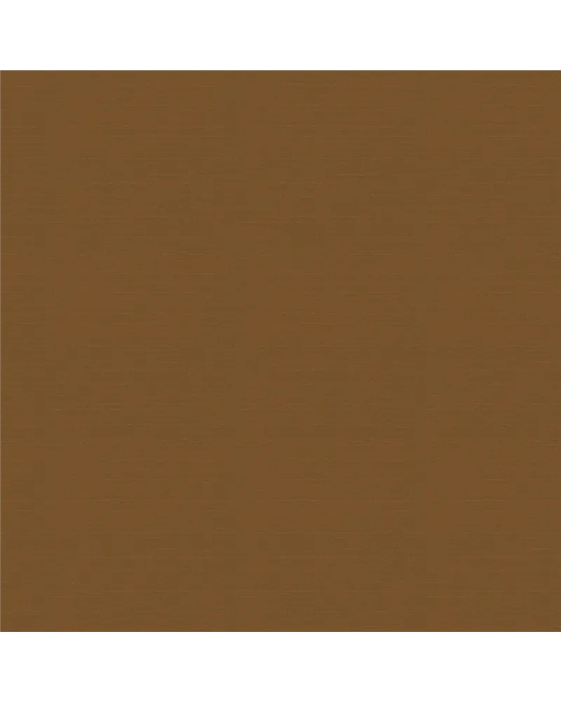 GANZU 2104.11