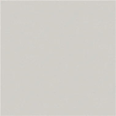 STRIE 2550.17