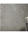 HEXAGON 2614.20