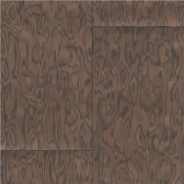 Coti Chocolate 30802