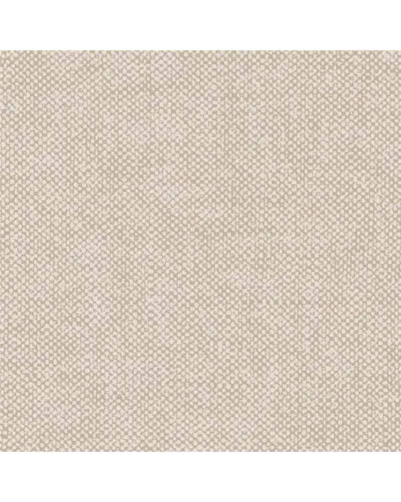 Lin Dunes 78037