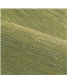 Tatami Macha 75346018