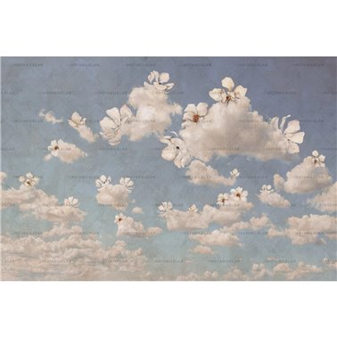 Clouwer 01
