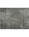 Woods Extra Silver B00827